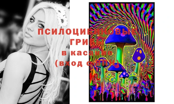 мескалин Кукмор