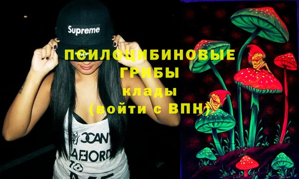 мяу мяу мука Кулебаки