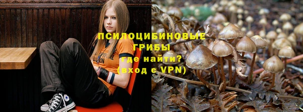 мяу мяу мука Кулебаки